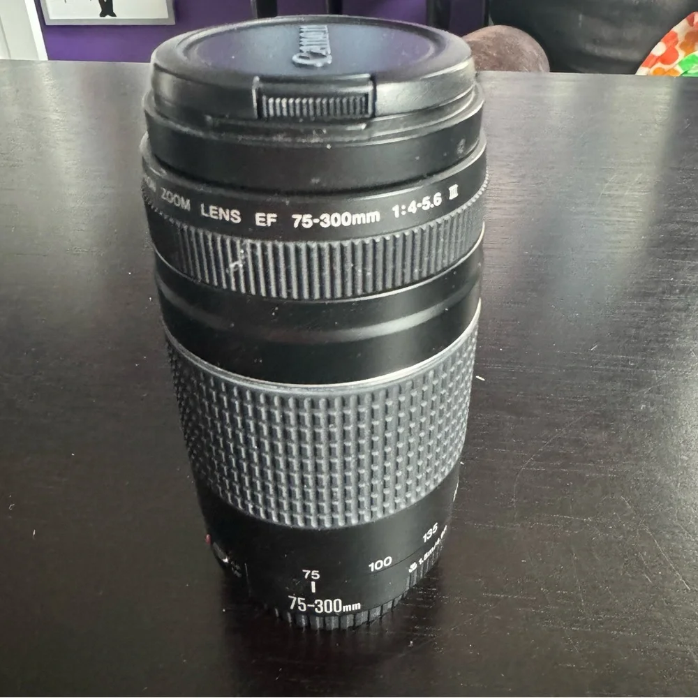 Canon Black and Gray Telephoto Zoom Lens